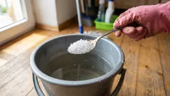 Lattiat pysyvät puhtaina viikkoja: vain yksi ruokalusikallinen vettä riittää peilikirkkaaseen lopputulokseen