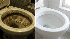 Ei viemärin tai virtsan hajua: vinkkejä kylpyhuoneen hajujen poistamiseen viidessä minuutissa