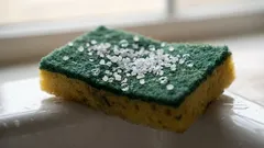 Ripottelin suolaa sienelle – ja rakastin lopputulosta: välttämätön kotivinkki