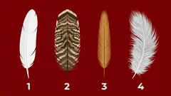 Valitse sulka: karminen ennustus siitä, mikä palaa elämääsi nyt